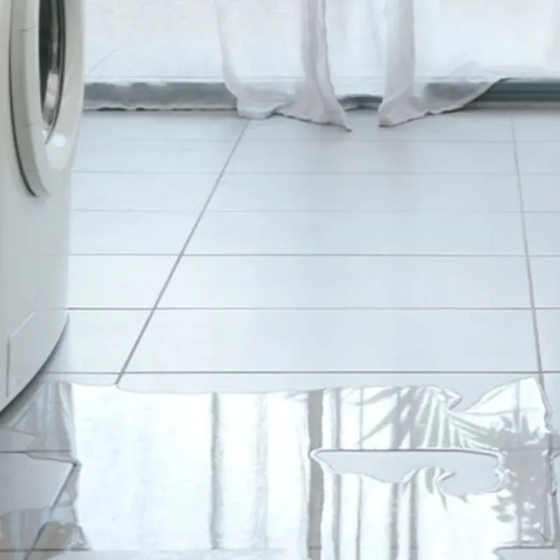 Appliance Leak Cleanup in Eastville, VA