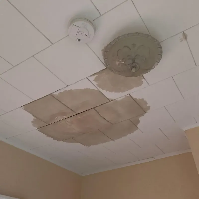 Ceiling Water Damage Repair in Eastville, VA