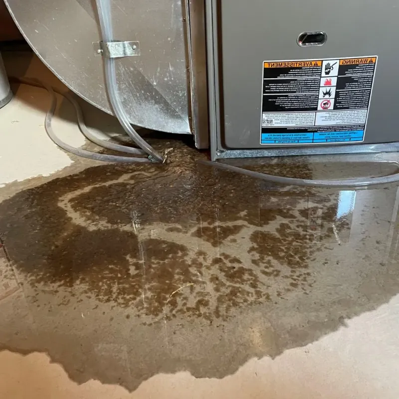 Pipe Burst and Leak Restoration in Eastville, VA