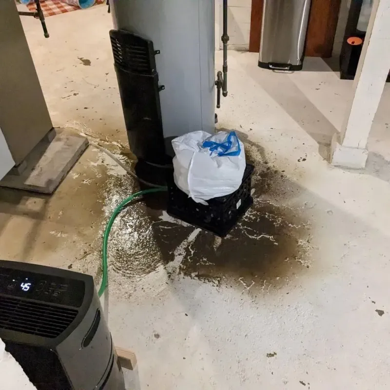 Sewage Backup Cleanup Service in Eastville, VA